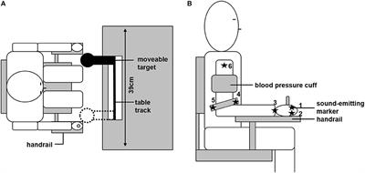 The Propagation of Movement Variability in Time: A Methodological Approach for Discrete Movements with Multiple Degrees of Freedom